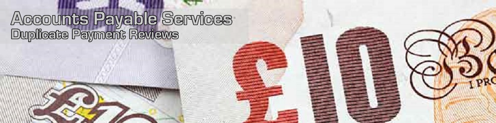 Duplicate Payment Reviews